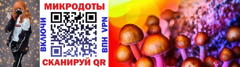 Псилоцибиновые грибы Magic Shrooms Новая Усмань