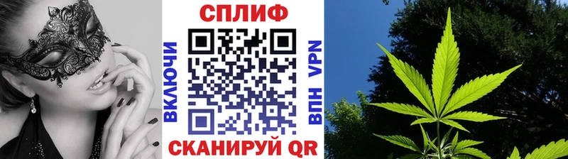 Бошки марихуана ГИДРОПОН  Новая Усмань 